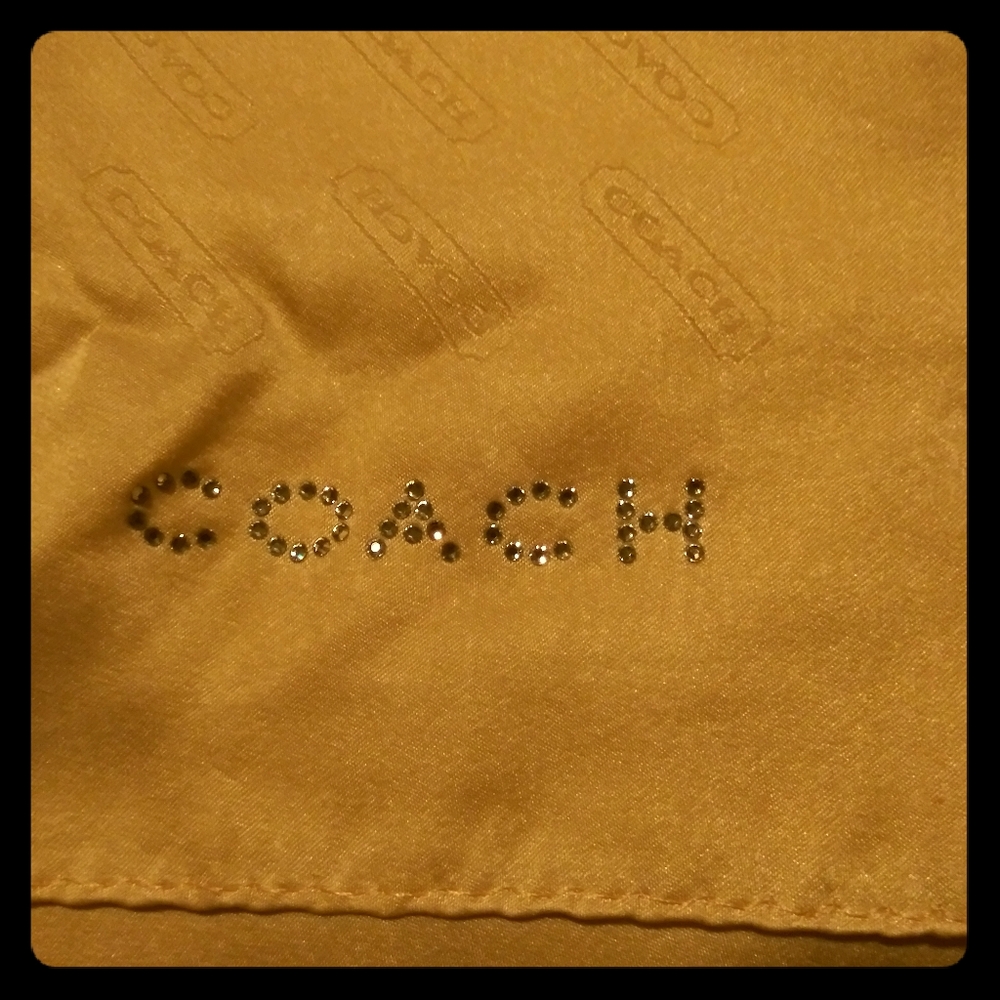 Coach handkerchief